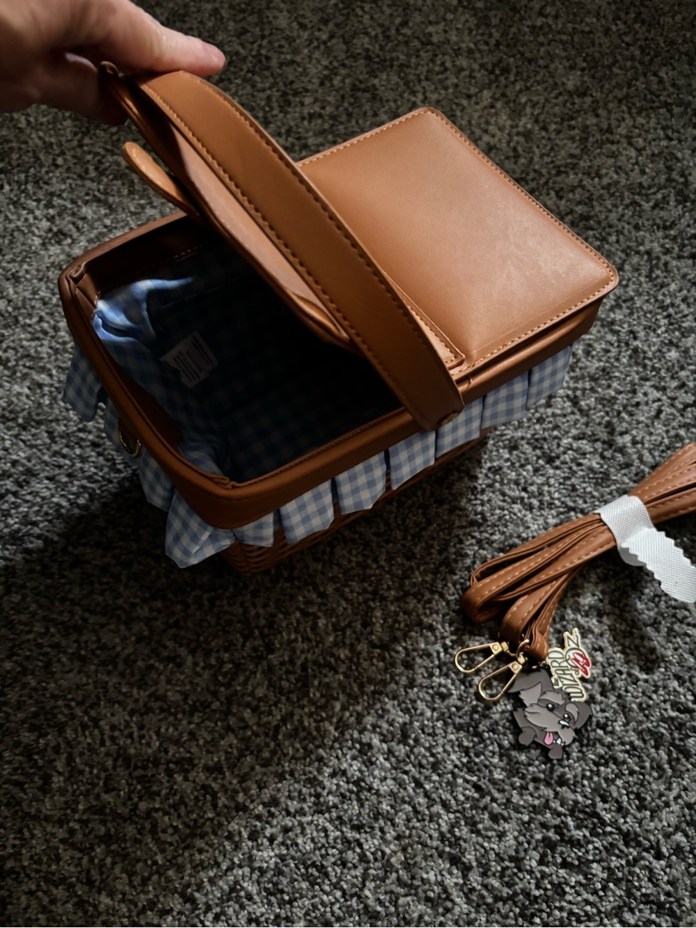 Halloween wizard of Oz Dorothy basket purse Toto costume - Picture 3 of 3